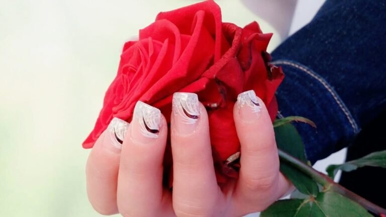French-Nagelmodellage mit roter Rose